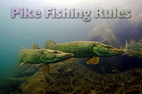 Pike Rules